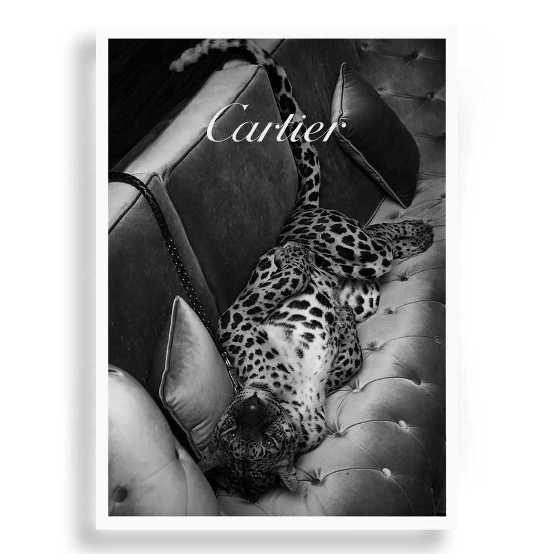 Cartier | PosterUp PosterUp